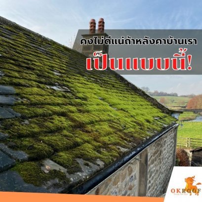 หมดปัญหาเรื่องตะไคร่น้ำบนหลังคา ไม่ก่อให้เกิดเชื้อรา ไม่มีการรั่วซึมของน้ำ