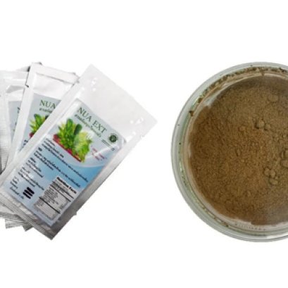 พัฒนาผงปรุงรสจากสมุนไพร 12 ชนิด ใช้แทนผงชูรส ได้คุณค่าโภชนาการ