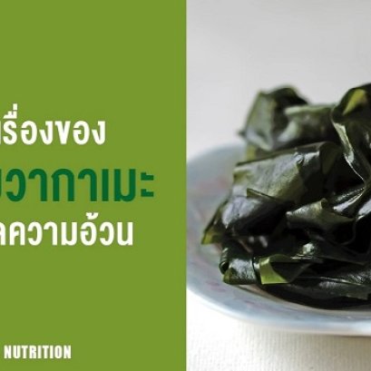 ว่าด้วยเรื่องของ สาหร่ายวากาเมะ กับการลดความอ้วน