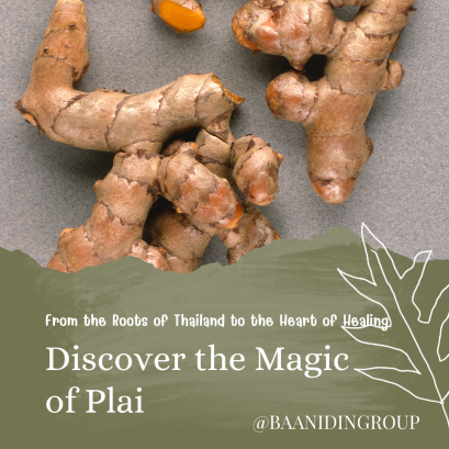  Plai - The Thai Herbal for Inflammation and Pain Relief