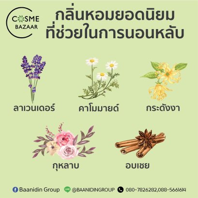 น้ำมันหอมระเหยยอดนิยม ช่วยในการนอนหลับ
