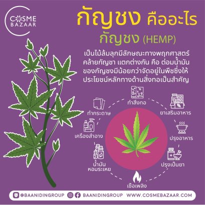 กัญชง คือ อะไร