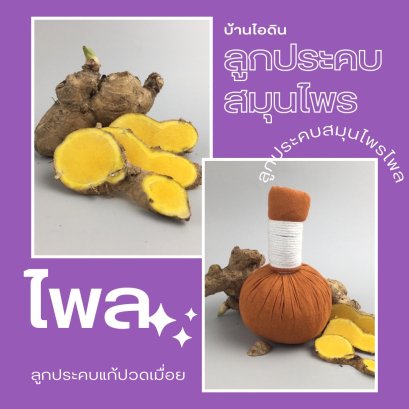 ลูกประคบสมุนไพร ไพล