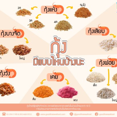 กุ้งแห้งมีแบบไหนบ้าง