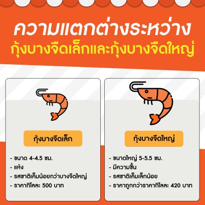 ความแตกต่างระหว่างกุ้งบางจืดเล็กและกุ้งบางจืดใหญ