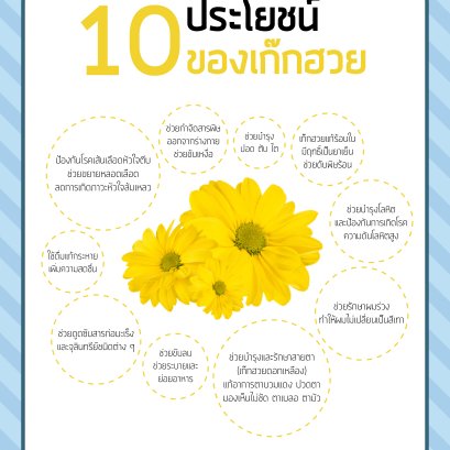 ประโยชน์ของเก๊กฮวย