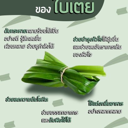 ประโยชน์ของใบเตย