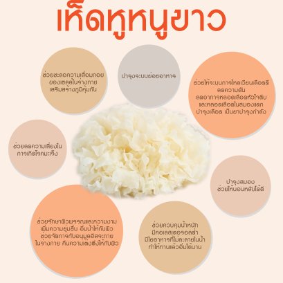 ประโยชน์ของเห็ดหูหนูขาว