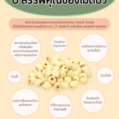 8 สรรพคุณของเม็ดบัว