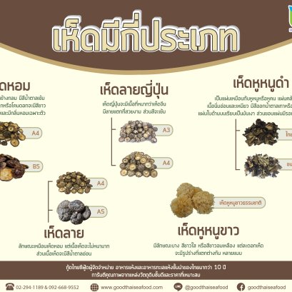 เห็ดมีกี่ประเภท