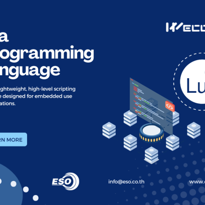 LUA Script WECON Article