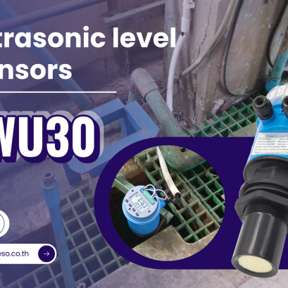 Ultrasonic Level sensor FWO30 FUTOKI