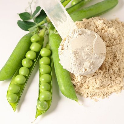 ข้อควรรู้เกี่ยวกับเวย์โปรตีนจากพืชสำหรับผู้เริ่มต้น