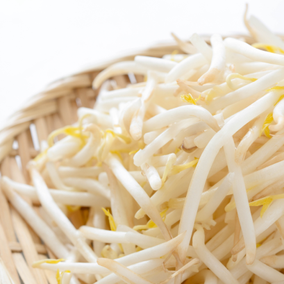 CANNED BEAN SPROUTS