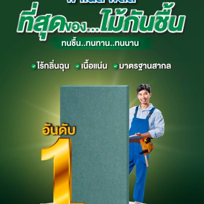 ไม้กันชื้น HMR (V313) A