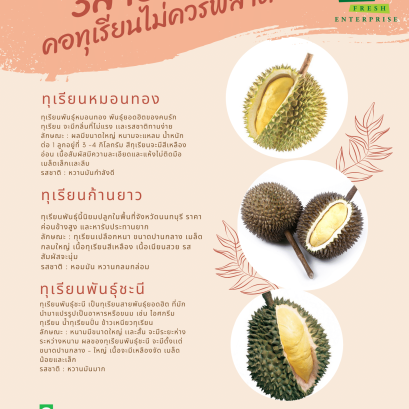 สายพันธุ์ทุเรียนที่คอทุเรียนไม่ควรพลาด