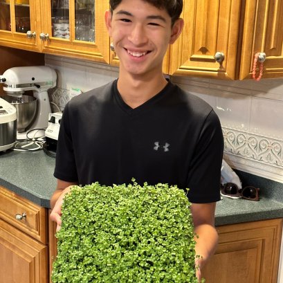 ต้นอ่อนบล็อคโคลี่ ผักต้านมะเร็งอันดับ#1