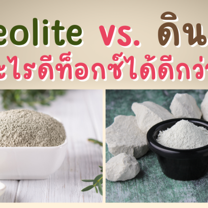 ซีโอไลต์ VS เคลย์ อะไรใช้ดีท็อกซ์โลหะหนักได้ดีกว่ากัน?