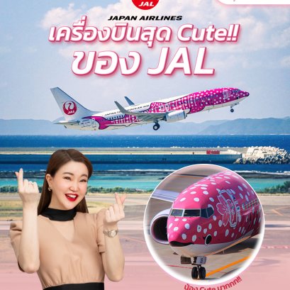 เครื่องบินสุด Cute ของ JAL - โค้ชแหม่มแชร์ความรู้รอบปีก | โค้ชแหม่ม สอนแอร์