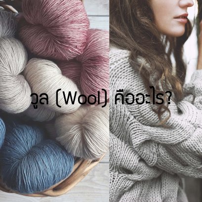 ผ้าวูล (Wool) คืออะไร ใส่ในอากาศแบบไหนถึงจะเหมาะ! สบายๆ คลายหนาว
