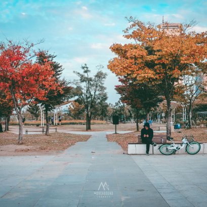 ชิวชมสวนชวนกินSeafoodที่...ยออึยโด