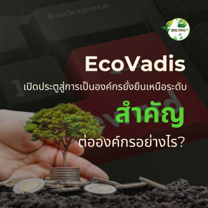 EcoVadis เปิดประตูสู่การเป็นองค์กรยั่งยืนเหนือระดับ: สำคัญต่อองค์กรอย่างไร