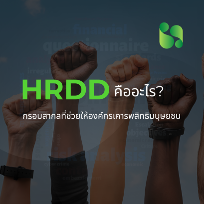 HRDD คืออะไร? กรอบสากลที่ช่วยให้องค์กรเคารพสิทธิมนุษยชน 