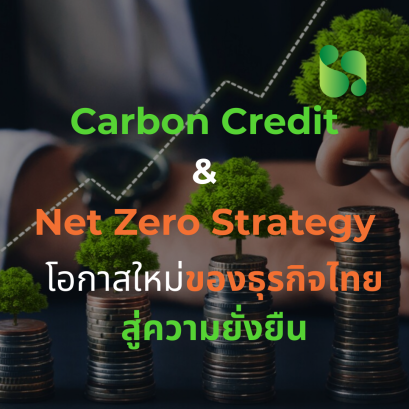 Carbon Credit & Net Zero Strategy โอกาสใหม่ของธุรกิจไทยสู่ความยั่งยืน