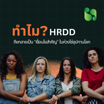 ทำไม HRDD ถึงกลายเป็น เงื่อนไขสำคัญ ในห่วงโซ่อุปทานโลก