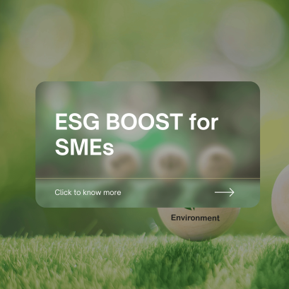 ESG BOOST for SMEs