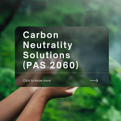 PAS 2060 Consulting Service