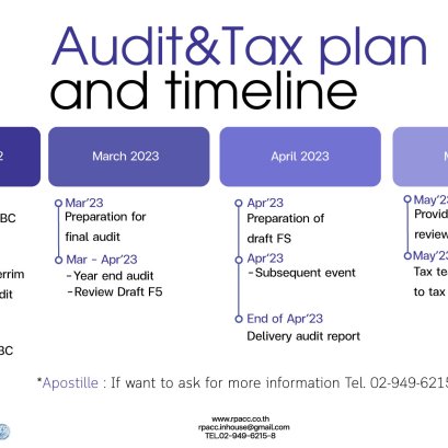 Audit&Tax plan and timeline