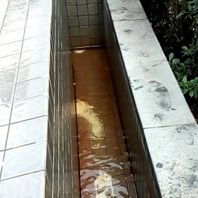 วิธีแก้น้ำแดง หรือสนิมเหล็กในสระให้กลับมาใสง่ายๆ