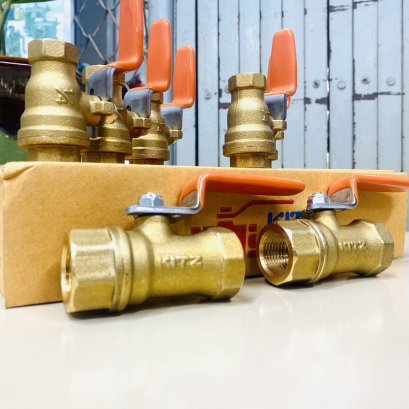 Update Delivery Status 08/08/23