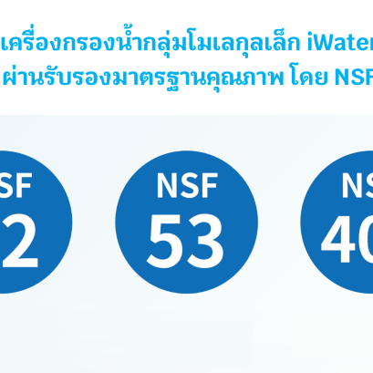 NSF iWater Performance Data Sheet