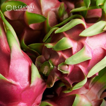 Dragon Fruit