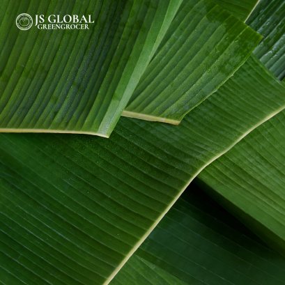 Banana Leaves  (Round / Square)