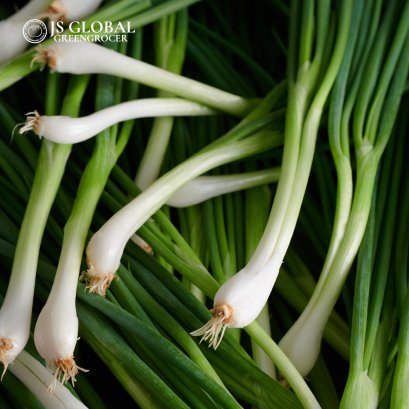 Spring Onion
