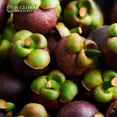Mangosteen