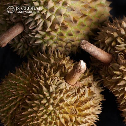 Durian (Mon Thong)