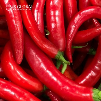Chilli (Long Red)