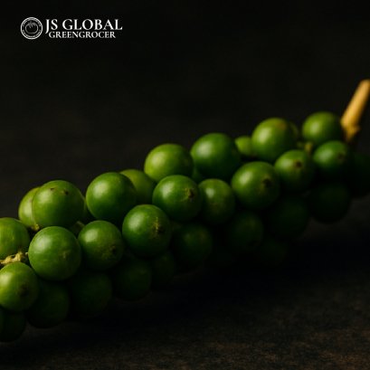Green Peppercorn