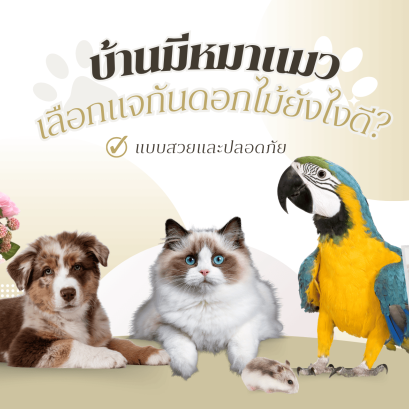 บ้านมีหมาแมว เลือกแจกันดอกไม้ประดิษฐ์ยังไงให้สวยและปลอดภัย