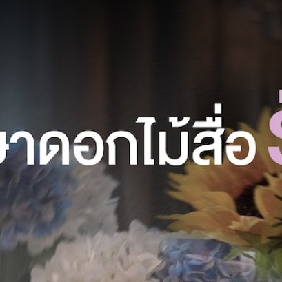 สื่อสารความในใจ แทนคำพูดด้วยภาษาดอกไม้