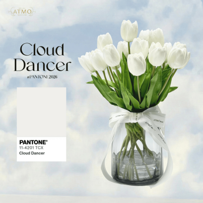 ทำไมปี 2026 Pantone สี Cloud Dancer ถึงโด่นเด่นกว่าสีไหนๆ