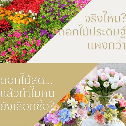 จริงไหม? ดอกไม้ประดิษฐ์แพงกว่าดอกไม้สด แล้วทำไมคนยังเลือกซื้อ?