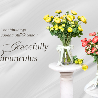 "Gracefully x Ranunculus" ความงามที่พูดแทนความรู้สึก