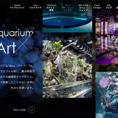 พิพิธภัณฑ์สัตว์น้ำอาโตอะ (Atoa Aquarium)