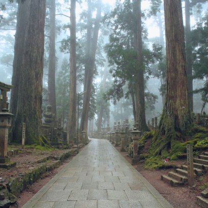 สุสานญี่ปุ่นโบราณที่โคยะซัง (Koyasan)
