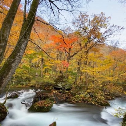 ลำธารโออิราเสะ (Oirase Stream)